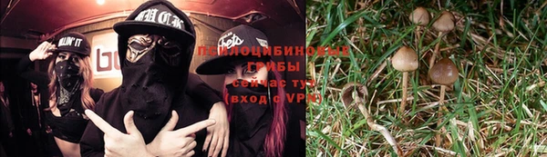 спиды Мегион